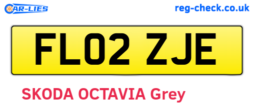 FL02ZJE are the vehicle registration plates.