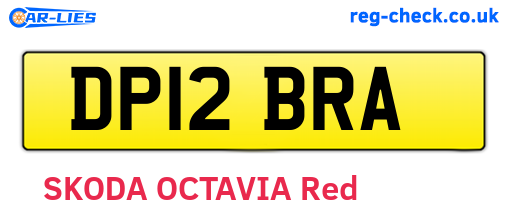 DP12BRA are the vehicle registration plates.