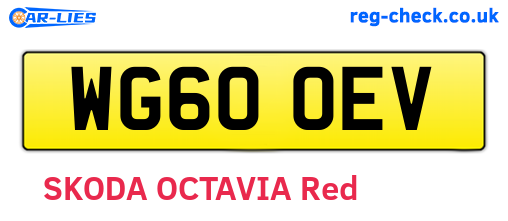 WG60OEV are the vehicle registration plates.