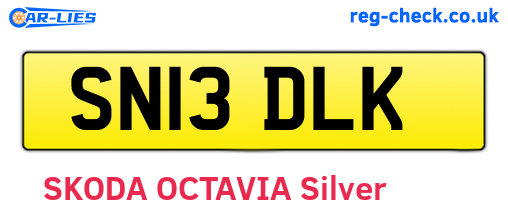 SN13DLK are the vehicle registration plates.