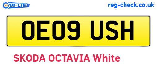 OE09USH are the vehicle registration plates.