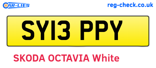 SY13PPY are the vehicle registration plates.