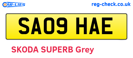 SA09HAE are the vehicle registration plates.