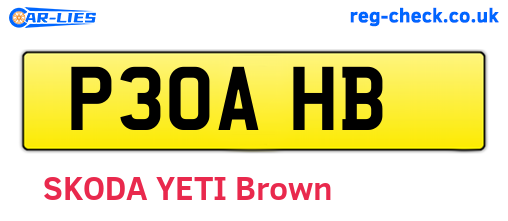 P30AHB are the vehicle registration plates.