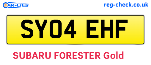 SY04EHF are the vehicle registration plates.