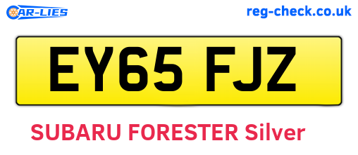 EY65FJZ are the vehicle registration plates.
