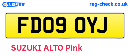 FD09OYJ are the vehicle registration plates.