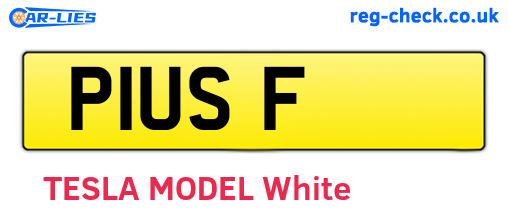 P1USF are the vehicle registration plates.