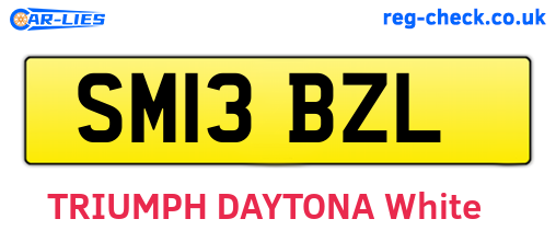 SM13BZL are the vehicle registration plates.
