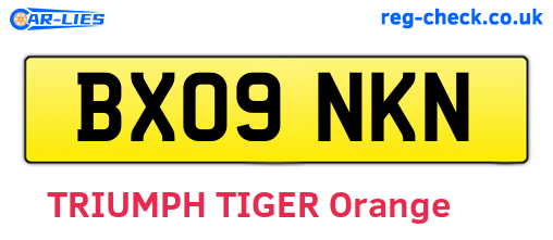 BX09NKN are the vehicle registration plates.
