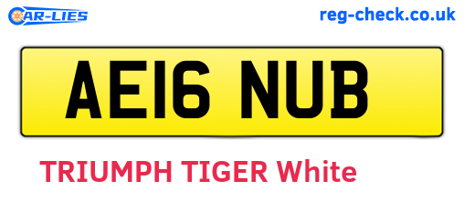 AE16NUB are the vehicle registration plates.