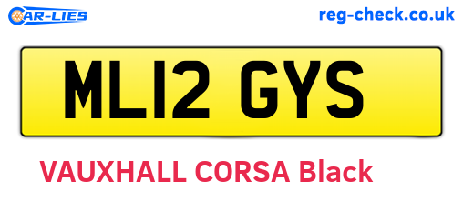 ML12GYS are the vehicle registration plates.