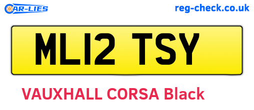 ML12TSY are the vehicle registration plates.