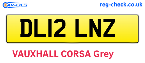 DL12LNZ are the vehicle registration plates.