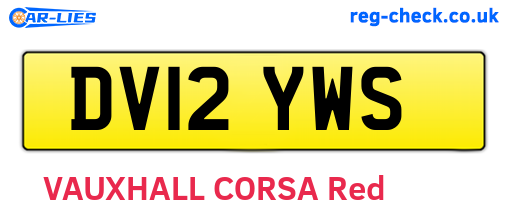 DV12YWS are the vehicle registration plates.