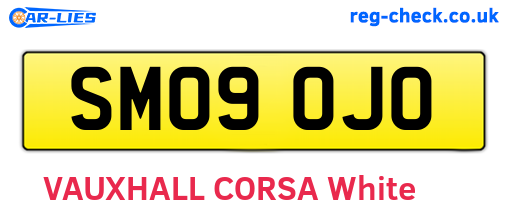 SM09OJO are the vehicle registration plates.
