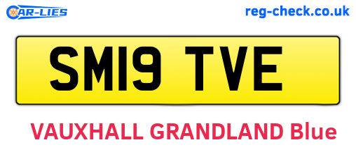 SM19TVE are the vehicle registration plates.