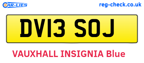 DV13SOJ are the vehicle registration plates.