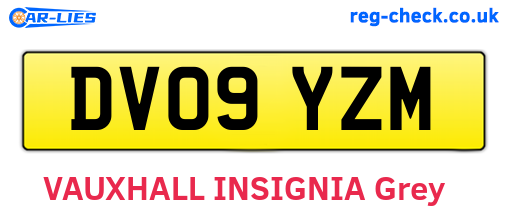 DV09YZM are the vehicle registration plates.