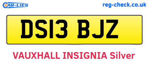DS13BJZ are the vehicle registration plates.