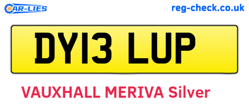 DY13LUP are the vehicle registration plates.