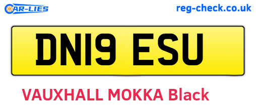DN19ESU are the vehicle registration plates.