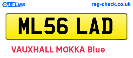 ML56LAD are the vehicle registration plates.
