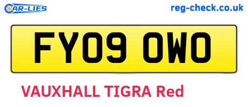 FY09OWO are the vehicle registration plates.