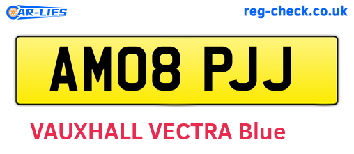 AM08PJJ are the vehicle registration plates.