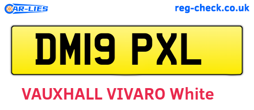 DM19PXL are the vehicle registration plates.