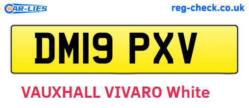 DM19PXV are the vehicle registration plates.