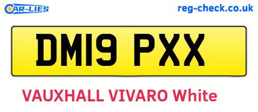 DM19PXX are the vehicle registration plates.