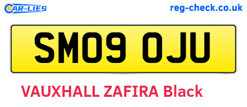 SM09OJU are the vehicle registration plates.