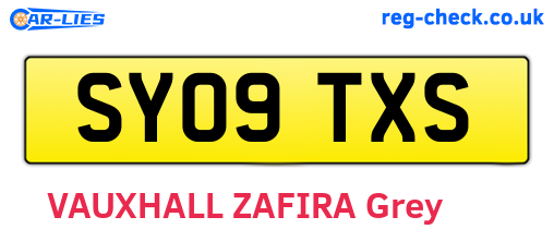 SY09TXS are the vehicle registration plates.