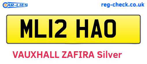 ML12HAO are the vehicle registration plates.
