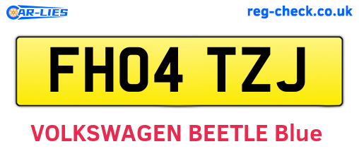 FH04TZJ are the vehicle registration plates.