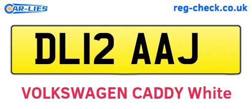 DL12AAJ are the vehicle registration plates.