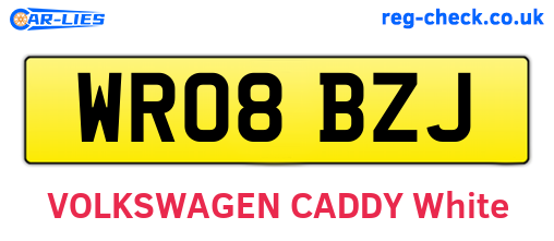 WR08BZJ are the vehicle registration plates.