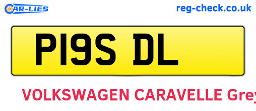 P19SDL are the vehicle registration plates.