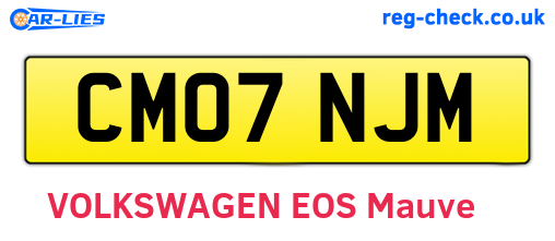 CM07NJM are the vehicle registration plates.