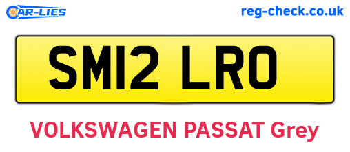 SM12LRO are the vehicle registration plates.