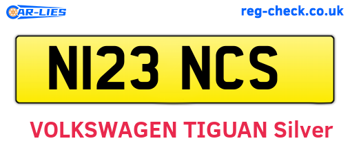 N123NCS are the vehicle registration plates.