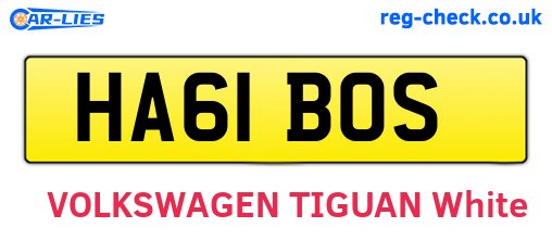 HA61BOS are the vehicle registration plates.