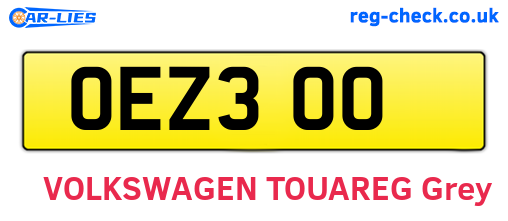 OEZ300 are the vehicle registration plates.
