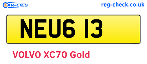 NEU613 are the vehicle registration plates.