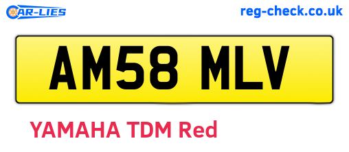 AM58MLV are the vehicle registration plates.
