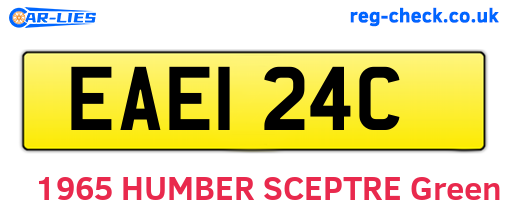 EAE124C are the vehicle registration plates.