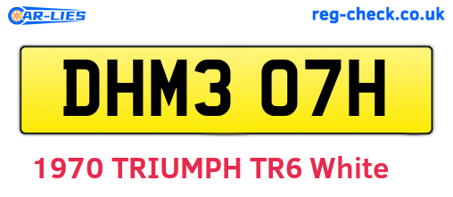 DHM307H are the vehicle registration plates.