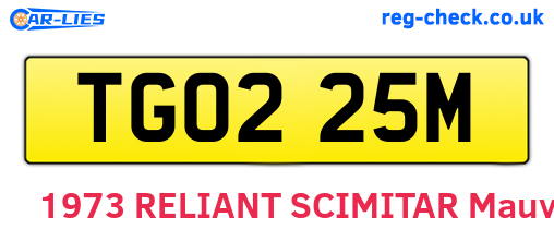 TGO225M are the vehicle registration plates.