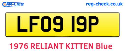 LFO919P are the vehicle registration plates.